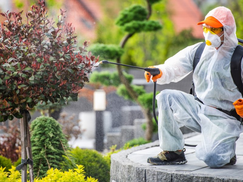 Bozova Haşere İlaçlama